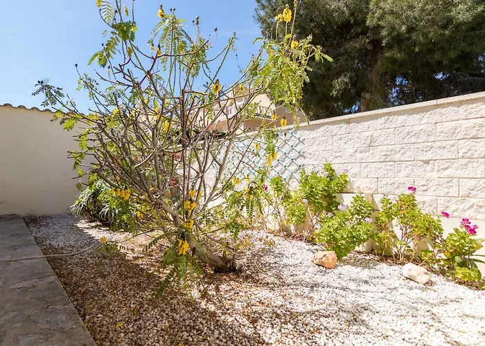 Charming One-floor With Private Pool In Balcones 托雷维耶哈