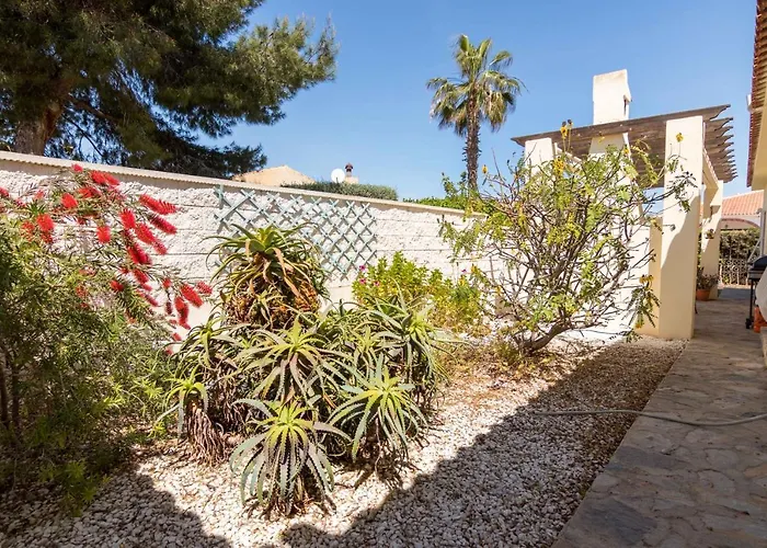 Charming One-floor With Private Pool In Balcones *